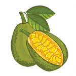 菠萝蜜视频app v1.0.9免费观看版