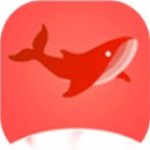飞鱼影视app手机免费版