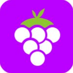 葡萄宝盒app最新破解版 v2.4.1