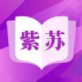 紫苏小说