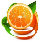 橙子视频免费版