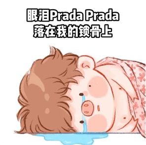 Prada的眼泪PradaPrada地掉表情包 第4张