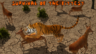 终极狮虎模拟 第1张