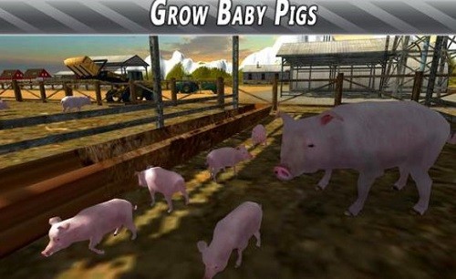 欧洲农场模拟器猪 第1张