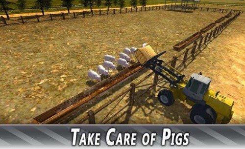 欧洲农场模拟器猪 第3张