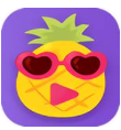 菠萝app下载汅api免费下载