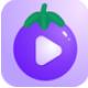 茄子福利免费直播视频APP