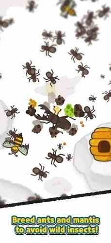 蚂蚁和螳螂帝国 第1张